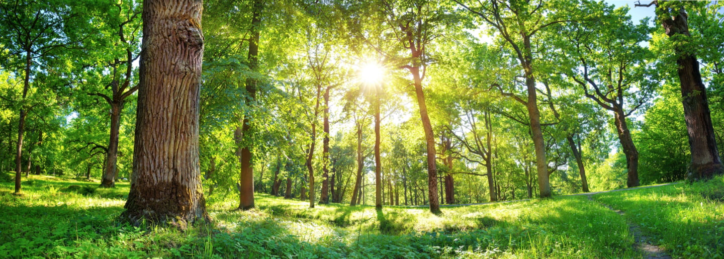 脱炭素に向けた取り組み