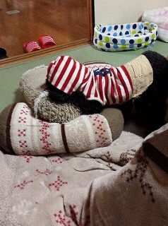 拗ねる.jpg