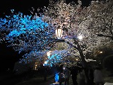 DSC02535.jpg