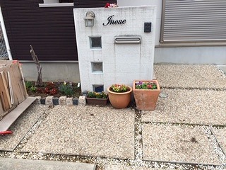IMG_1885.jpg