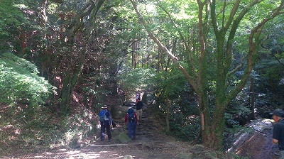 tasaka2.jpg