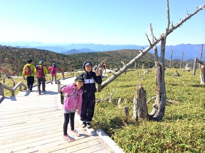 紅葉の大台ケ原