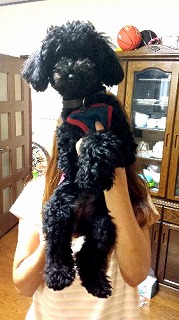 愛犬