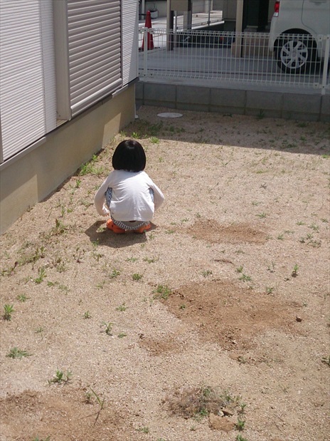庭