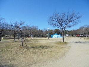 DSC00731.JPG
