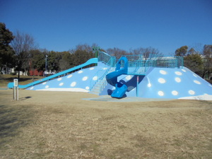 DSC00733.JPG