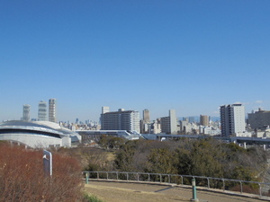 DSC00738.JPG