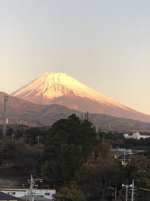 スタートダッシュ！