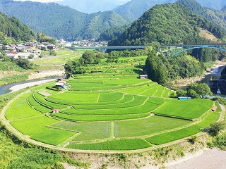 aragijima01.jpg